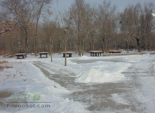 锦州雪后散步穿越东湖公园 活动场地