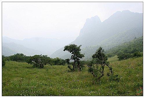 分水岭-高山草甸-鸡窝子徒步穿越山中云雾萦绕
