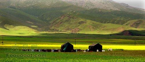 青海到蒙古沙漠青海湖边的美景