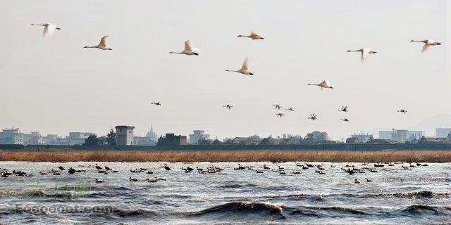 福建至北京自驾游群鸟
