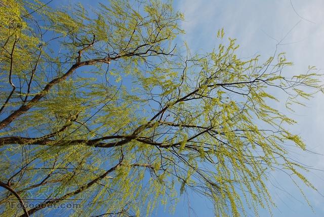 龙潭西湖亲子活动DSC_0092_resize