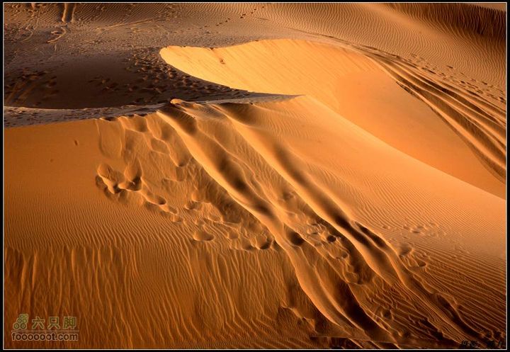 我与沙漠有个约会-"切"意生活2010库布齐穿越掠影大漠之美 