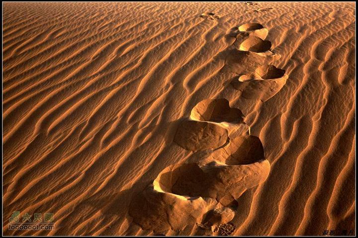 我与沙漠有个约会-"切"意生活2010库布齐穿越掠影大漠之美2