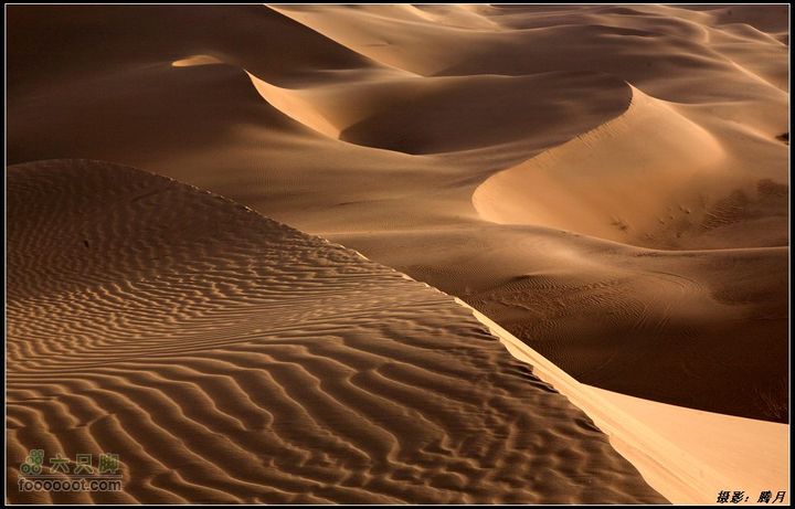 我与沙漠有个约会-"切"意生活2010库布齐穿越掠影大漠之美4