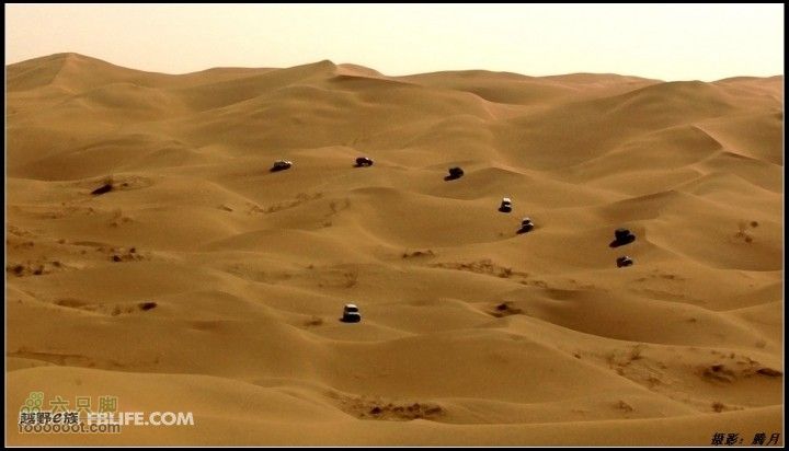 我与沙漠有个约会-"切"意生活2010库布齐穿越掠影车星点点