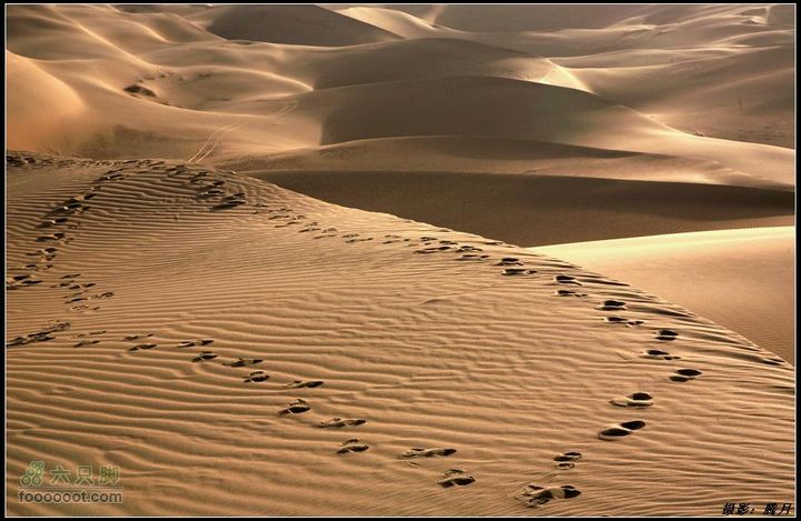我与沙漠有个约会-"切"意生活2010库布齐穿越掠影沙中漫步