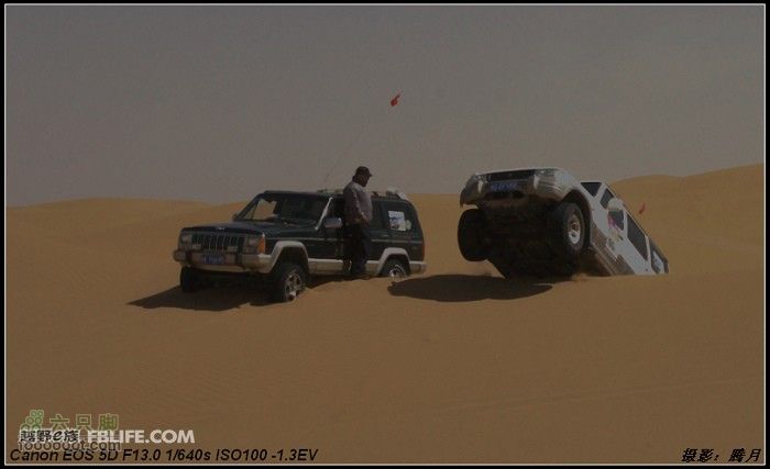 我与沙漠有个约会-"切"意生活2010库布齐穿越掠影哥们你好啊，我可是站起来和你打招呼啊