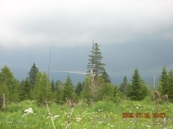 长白山南坡穿越西坡长白山穿越