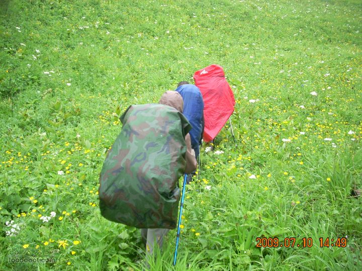 长白山南坡穿越西坡穿越花海