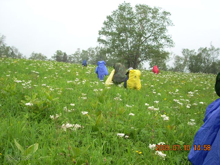 长白山南坡穿越西坡穿越花海