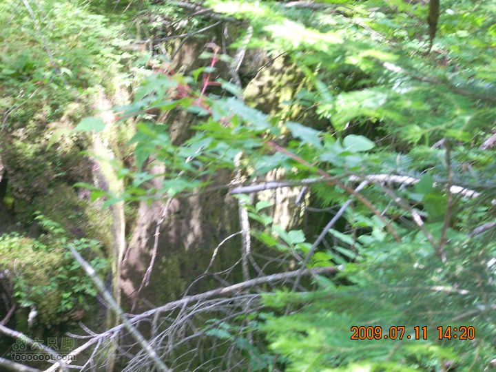 长白山南坡穿越西坡地下暗河