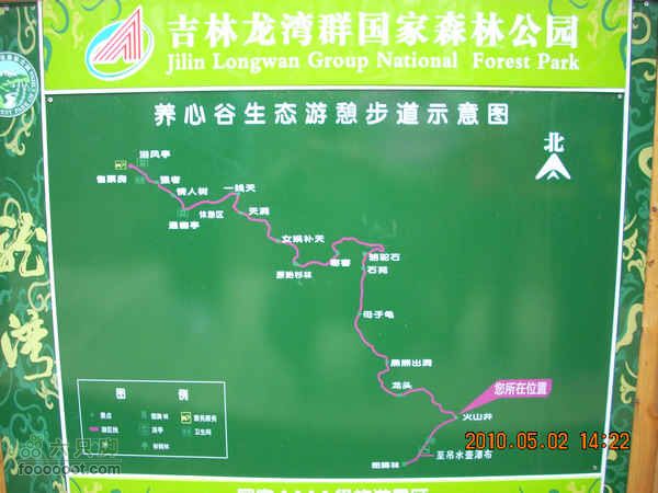吉林龙湾火山口湖群探寻DSCN6725