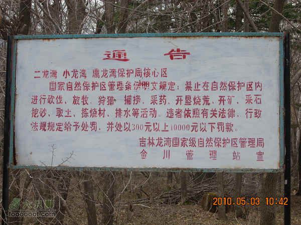 吉林龙湾火山口湖群探寻DSCN6876