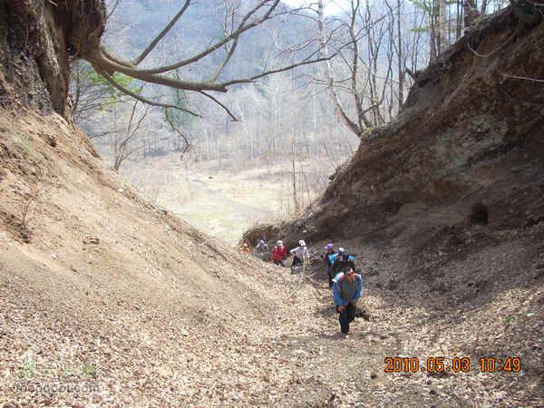吉林龙湾火山口湖群探寻DSCN6881