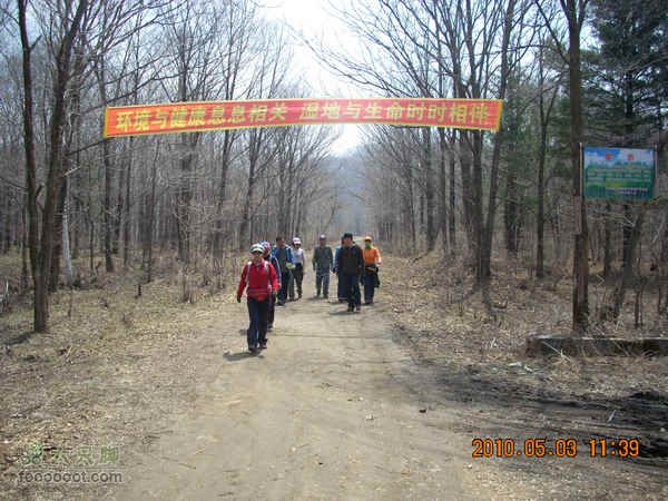 吉林龙湾火山口湖群探寻DSCN6908