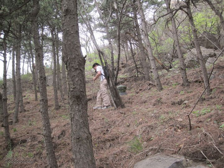 鹫峰-妙峰山穿越GPS轨迹专挑野路走