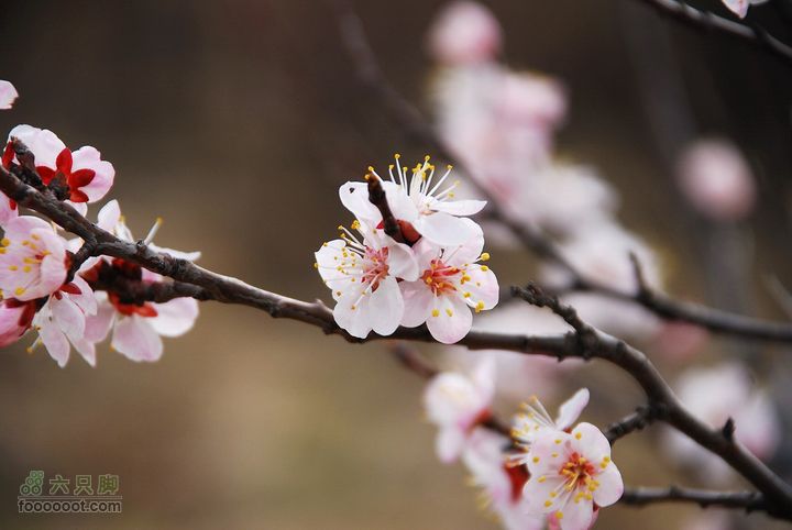 鹫峰-妙峰山穿越GPS轨迹很美：）