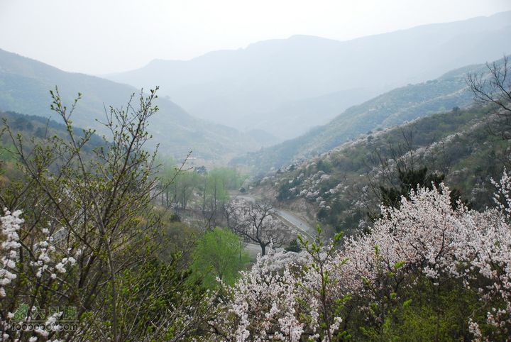 鹫峰-妙峰山穿越GPS轨迹风景如画的路