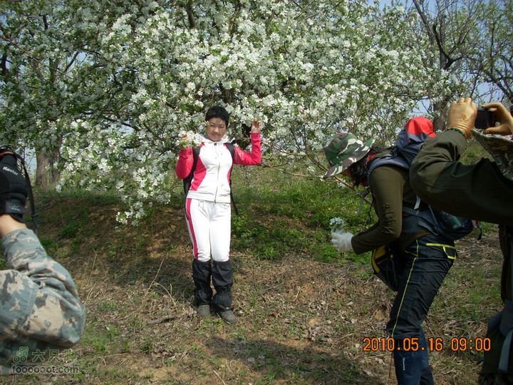 铁岭花豹冲赏花挖野菜DSCN7011