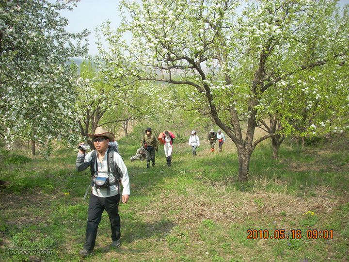 铁岭花豹冲赏花挖野菜DSCN7015