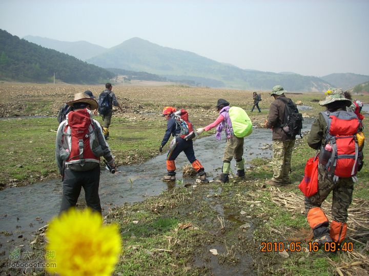 铁岭花豹冲赏花挖野菜DSCN7048