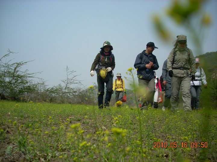 铁岭花豹冲赏花挖野菜DSCN7085