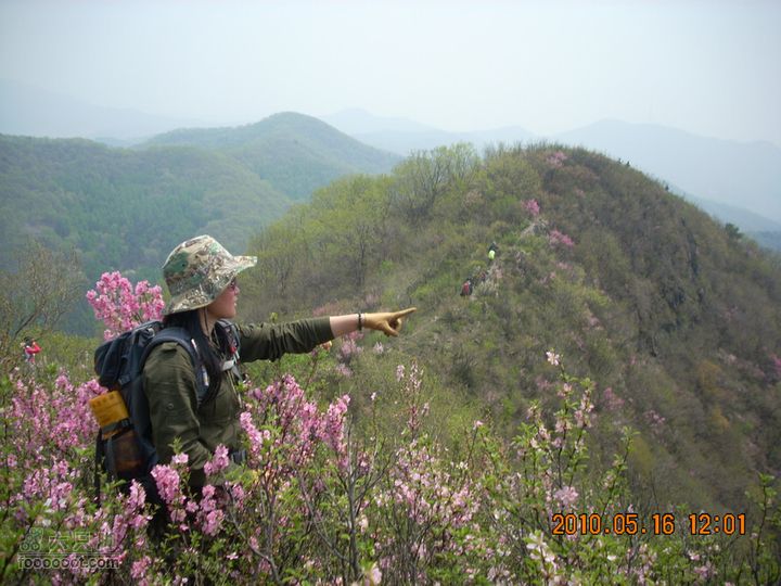 铁岭花豹冲赏花挖野菜DSCN7133
