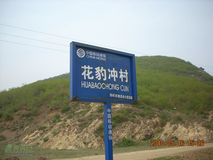 铁岭花豹冲赏花挖野菜DSCN7198
