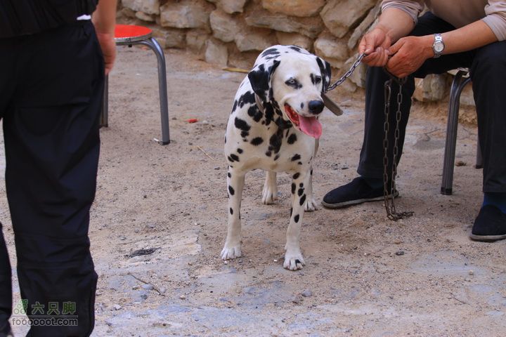 爨底下村徒步上山往返路线，我们的精彩周末斑点狗