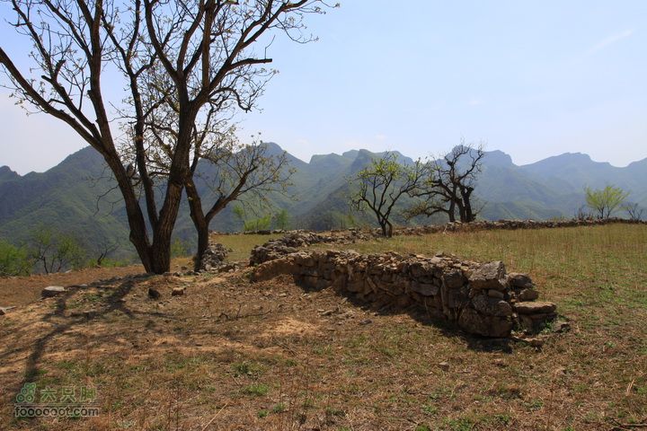 爨底下村徒步上山往返路线，我们的精彩周末树
