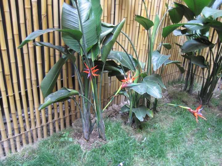 世博会参观路线和GPS轨迹IMG_0495