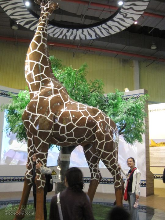 世博会参观路线和GPS轨迹IMG_0569