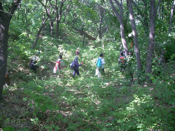 2010.06.05转山DSCN7519