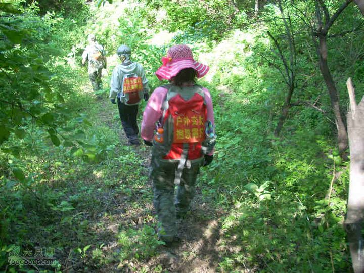 2010.06.05转山DSCN7527