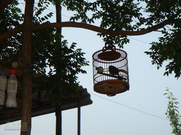 徒步驴友入门教程-香巴拉穿越村民路边盖得房，既能自己住，又提供方便面和水，还养了不少鸟