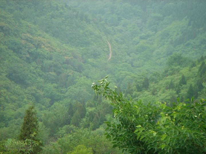 徒步驴友入门教程-香巴拉穿越还是林间的小路？是个问题，最终还是走了小路，快