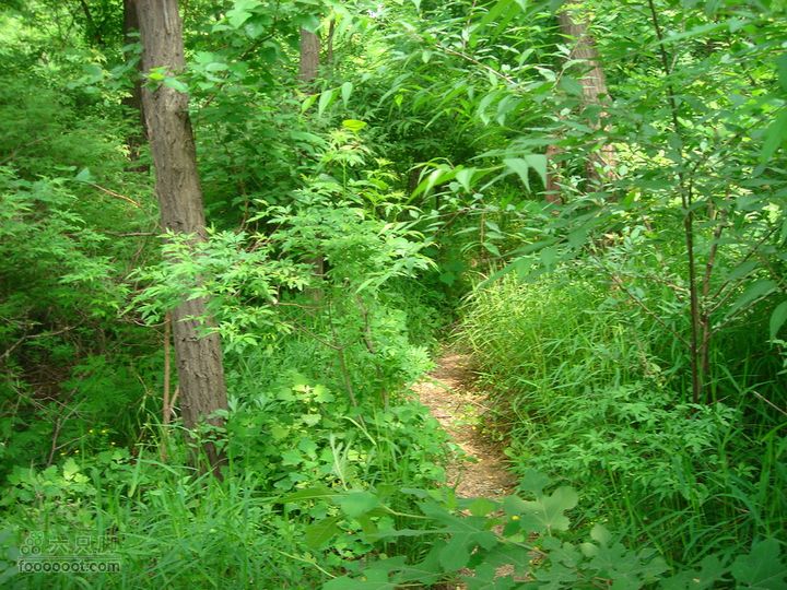 徒步驴友入门教程-香巴拉穿越快上到顶了，回头留个纪念