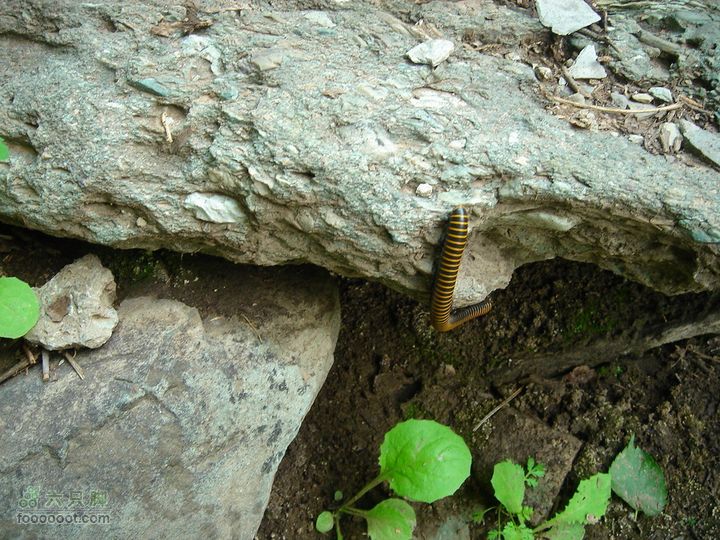徒步驴友入门教程-香巴拉穿越来个特写