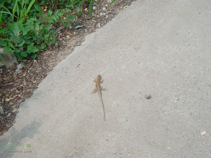 徒步驴友入门教程-香巴拉穿越小壁虎