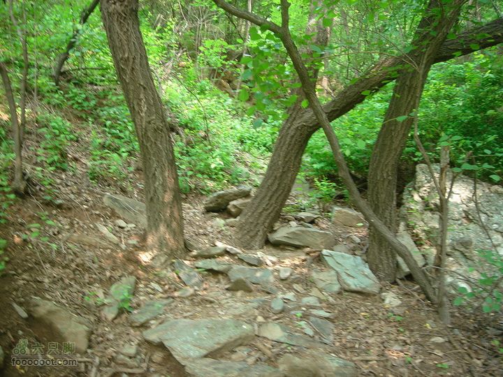 徒步驴友入门教程-香巴拉穿越这也叫路