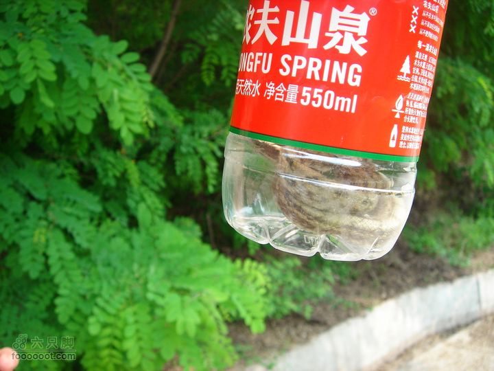 徒步驴友入门教程-香巴拉穿越最终难逃厄运，被一驴友装瓶带走，免得吓着路人！也不知能不能活下去