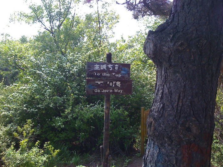 后山铺-云蒙山-云蒙峡重装2日穿越GPS轨迹攻略这里海拔已经１３５０了