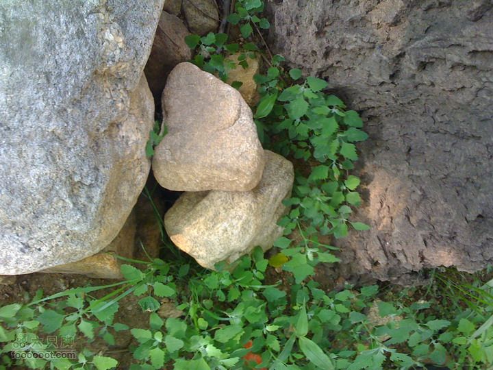 后山铺-云蒙山-云蒙峡重装2日穿越GPS轨迹攻略放好后，藏宝