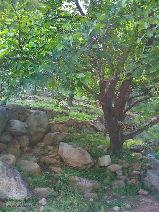 后山铺-云蒙山-云蒙峡重装2日穿越GPS轨迹攻略友情提示