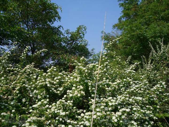 后山铺-云蒙山-云蒙峡重装2日穿越GPS轨迹攻略DSC09494_眸目压缩