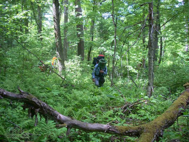 2010端午长白山锦江峡谷穿越DSCN7591