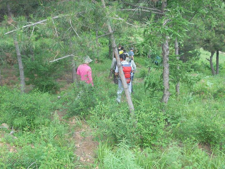 2010.06.19转山DSCN7685_眸目压缩