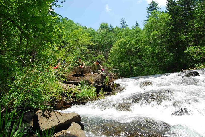 2010端午长白山锦江峡谷穿越端午锦江峡谷 (25)