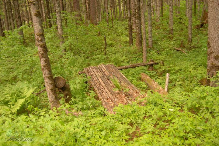2010端午长白山锦江峡谷穿越端午锦江峡谷 (239)