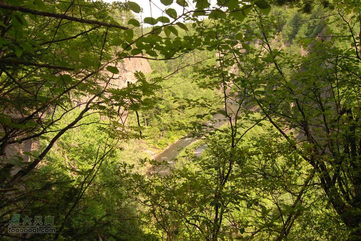 2010端午长白山锦江峡谷穿越端午锦江峡谷 (245)